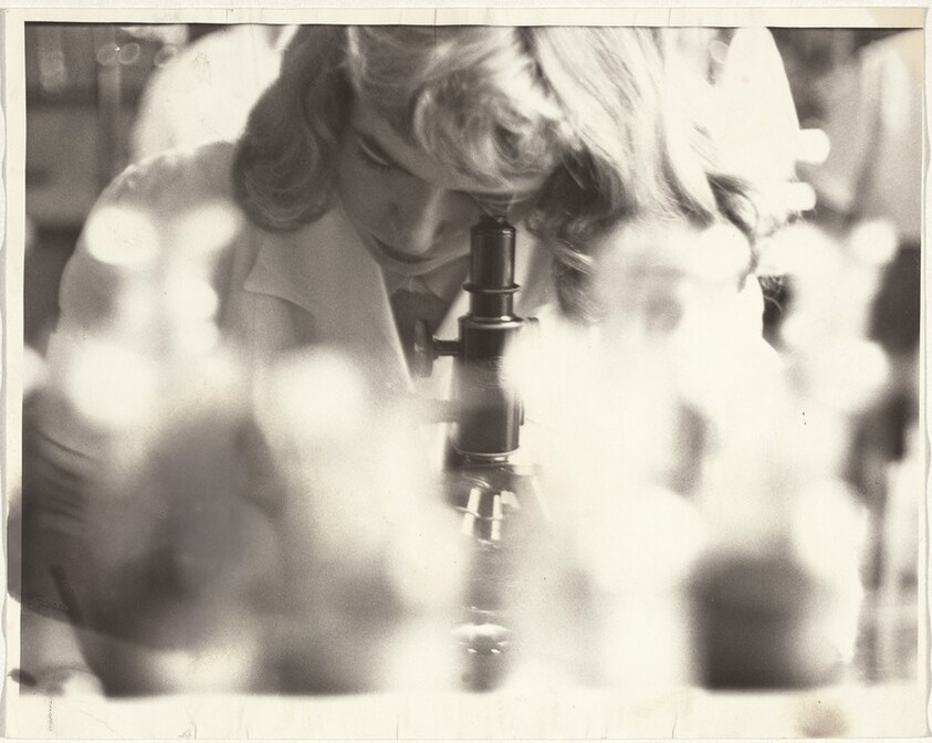 Student looking through microscope, Boston