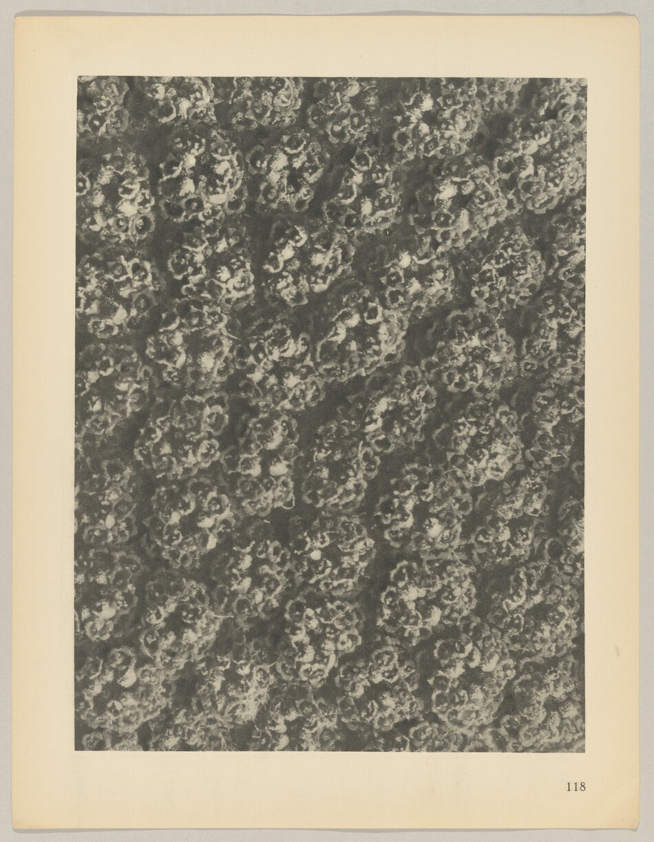 The image displays a series of rounded, swirling shapes covering the entire area in an intricate pattern. The composition evokes the look of a densely packed coral reef or a close-up of a textured surface like old, weathered rock. The repetitive nature of the shapes and their dense arrangement create a sense of movement and depth similar to cloud formations or clusters of bubbles. The interplay between the dark and light areas enhances the visual complexity of the image, giving it an almost organic quality.