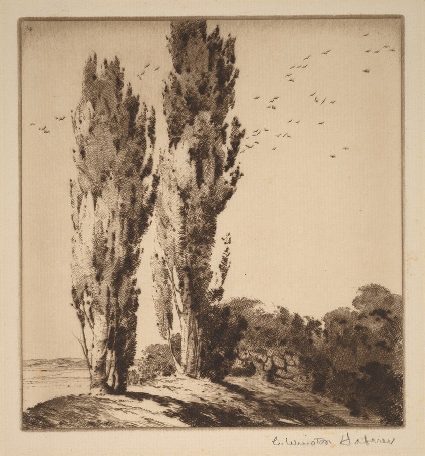 Two Poplars on a Hilltop