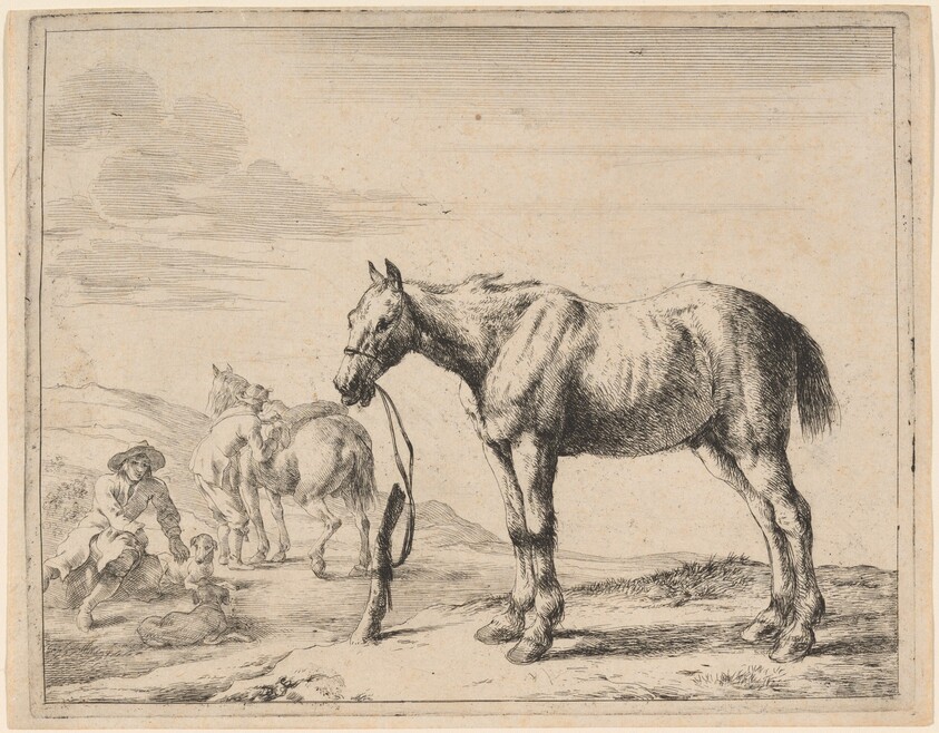 A Horse Bound to a Post