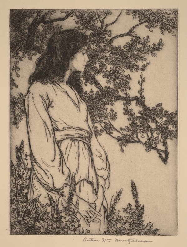 In the Twilight