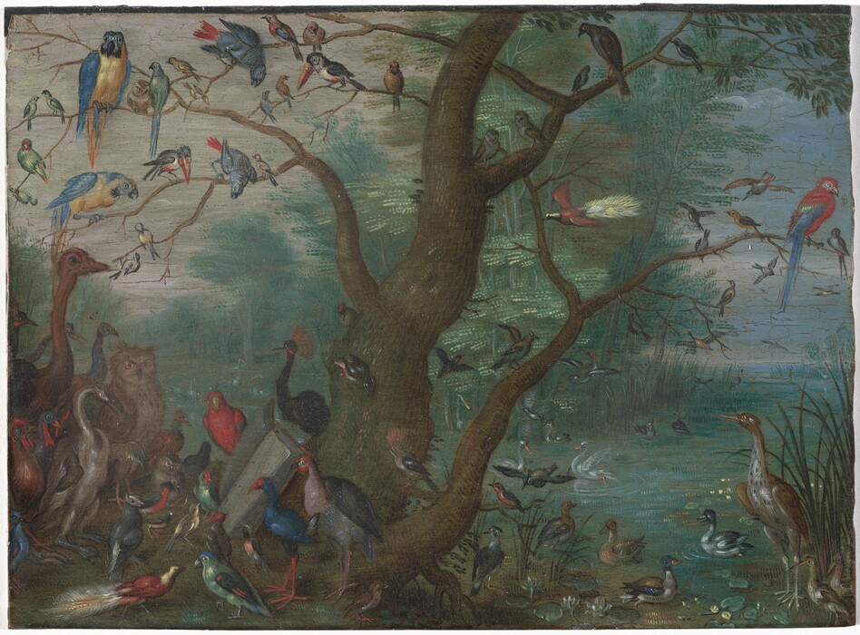 Dozens of multicolored birds of various sizes are arranged around a stout tree in this horizontal landscape painting. At least two dozen species of birds perch along the branches and crowd around the base. For example, there are birds with gold bodies, cobalt-blue wings, and hooked beaks in the upper left-hand branches. In the branches to the right a tomato-red bird with long, blue tail feathers is surrounded by small light brown and gray birds. An owl, peacock, ostrich, and turkey painted in muted browns and blues gather with other green, blue, red, and dark gray birds on the left side of the tree to look at an open book resting against the trunk. The bank with the birds is separated from a second grove of trees by the waterway, which splits near the lower right corner of the painting and winds into the distance to both the left and right. The grove across from us has slender green trees with feathery leaves among a bank of tall reeds. In the river in the lower right corner, ducks, swans, and a tall heron stand and float among lily pads. A few birds take flight while one comes in for a landing in the near distance, to our right. The sky above this area is slate blue. Ghostly touches of white along the river to our left suggest tall birds standing in the water. Beyond them, a hazy, peanut-brown field with tall trees marches into the distance under an overcast sky.