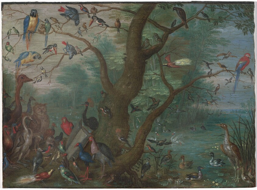Concert of Birds