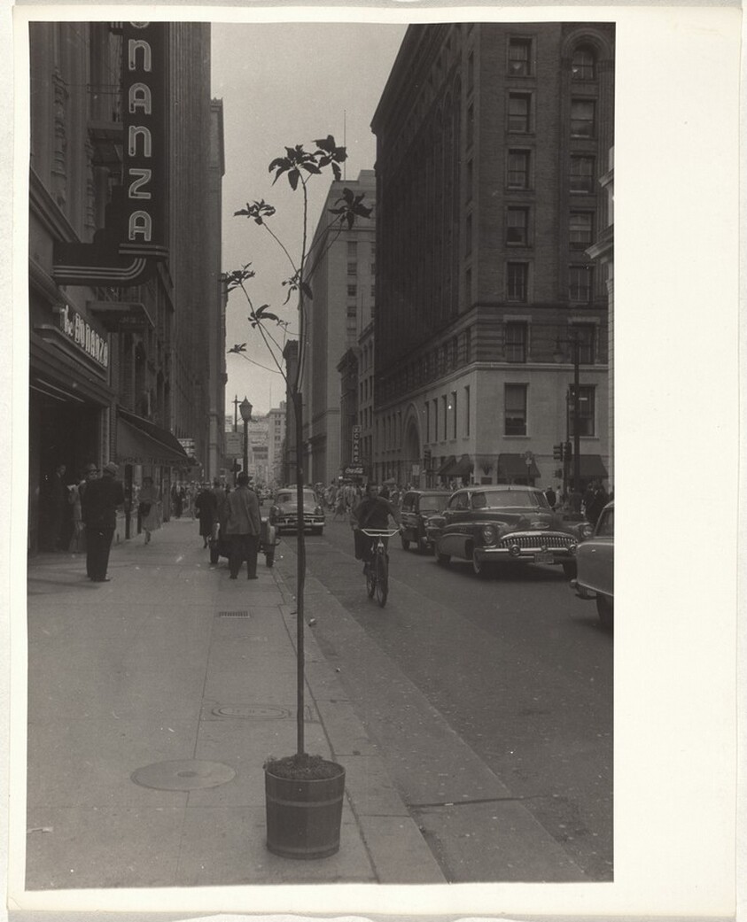Street scene--San Francisco