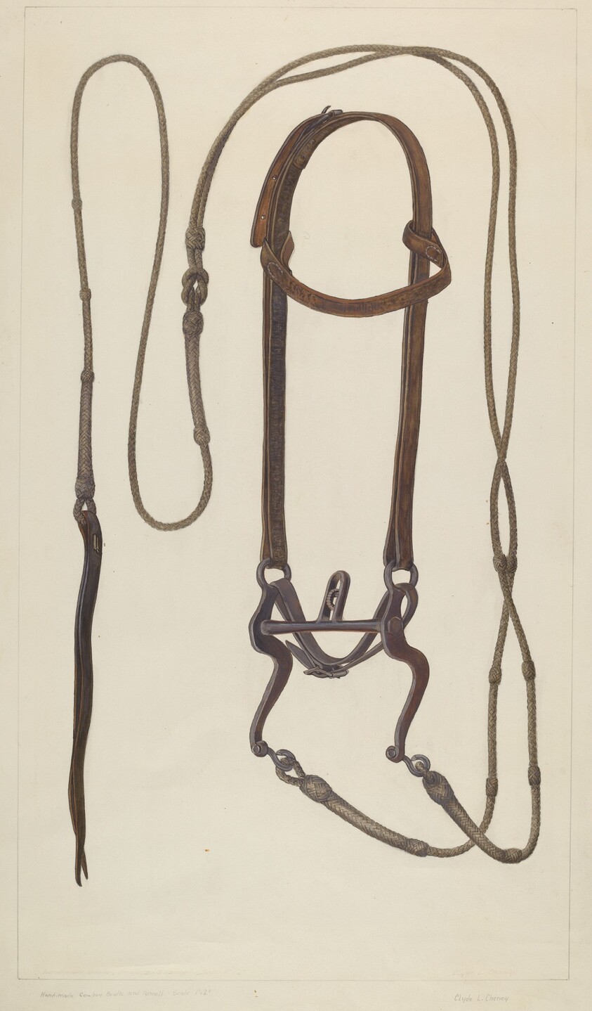 Bridle with Braided Rawhide Reins