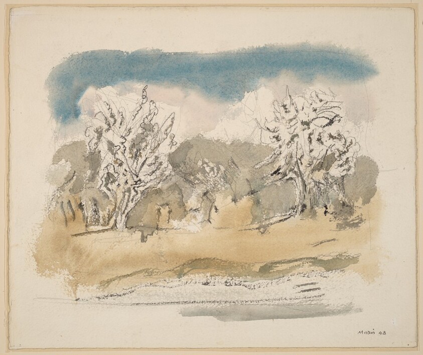 Pear Trees in Blossom #4, Saddle River District, New Jersey