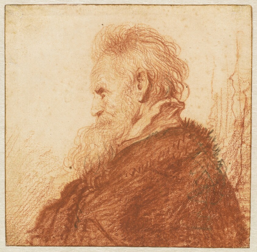 Head of an Old Man (recto)