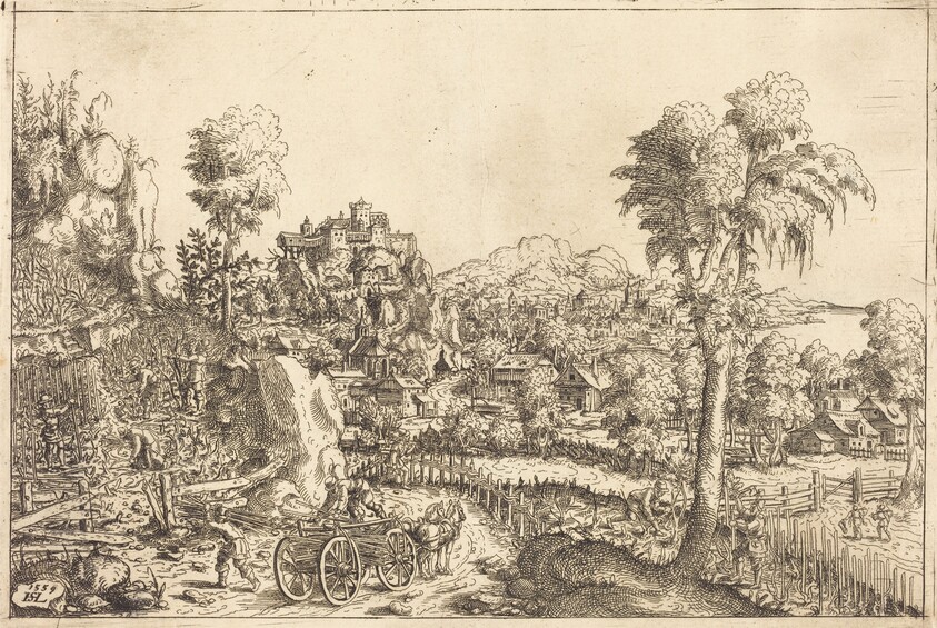 Landscape with a Vineyard
