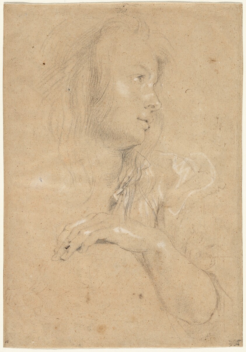 Young Woman in Profile