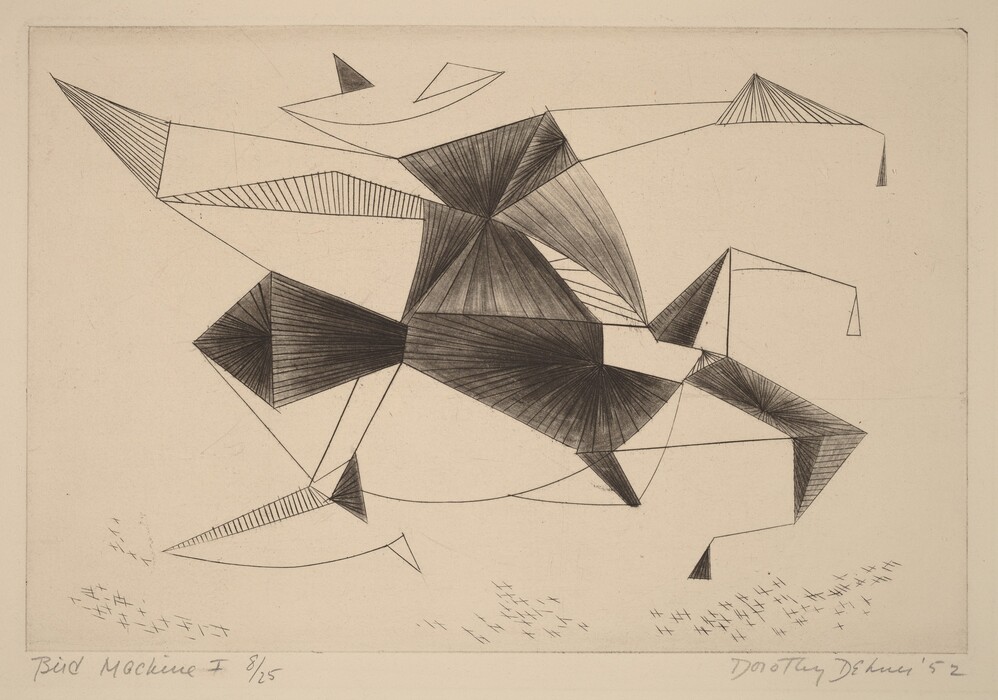 The image features an arrangement of geometric shapes and lines that intersect and overlap. It is an abstract design with sharp triangular forms and curved lines creating movement. The shapes resemble familiar objects such as a folded piece of paper or a fragmented kite. Some elements resemble the wings and beak of a bird from certain angles. The lines vary in thickness and shading, contributing to the depth and complexity of the image.