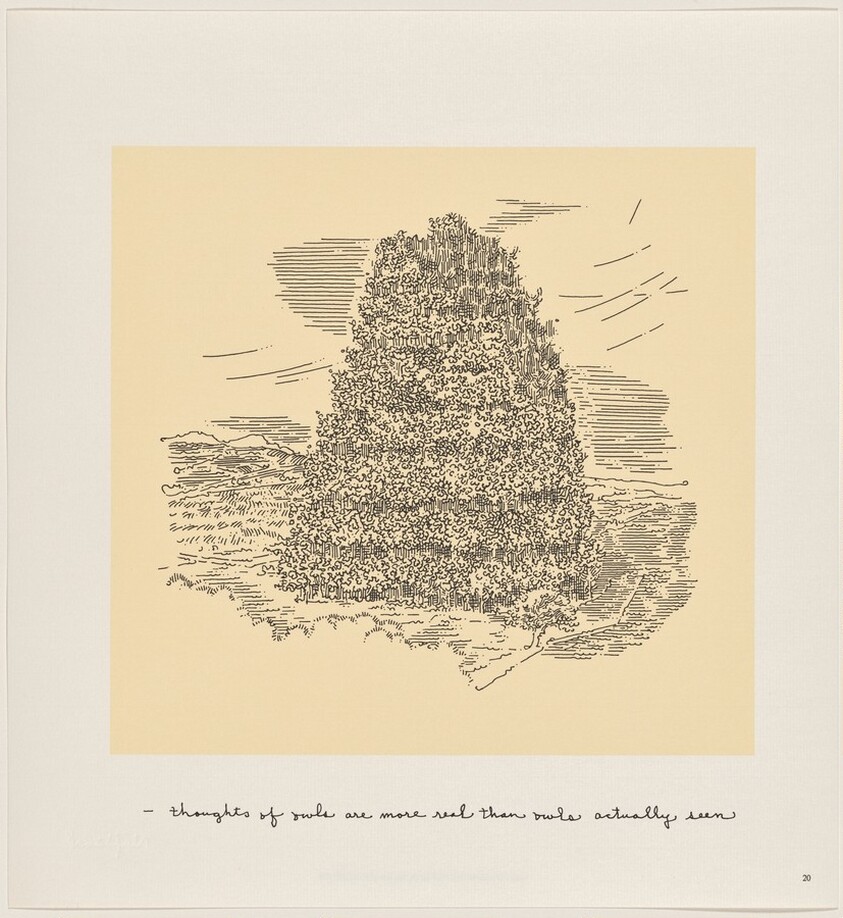 Owl Feathers: page 20