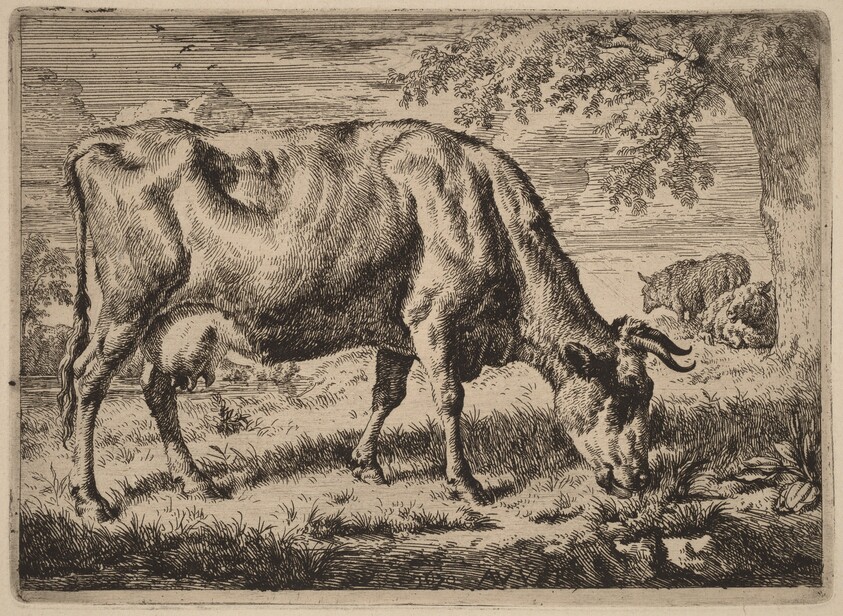 Grazing Cow with Two Sheep