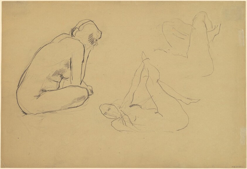 Studies of a Female Nude [recto]