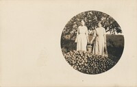 Untitled (Bountiful harvest), American 20th Century, c. 1910