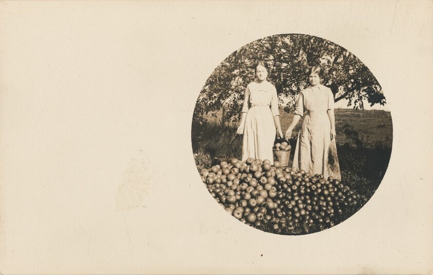 Untitled (Bountiful harvest)