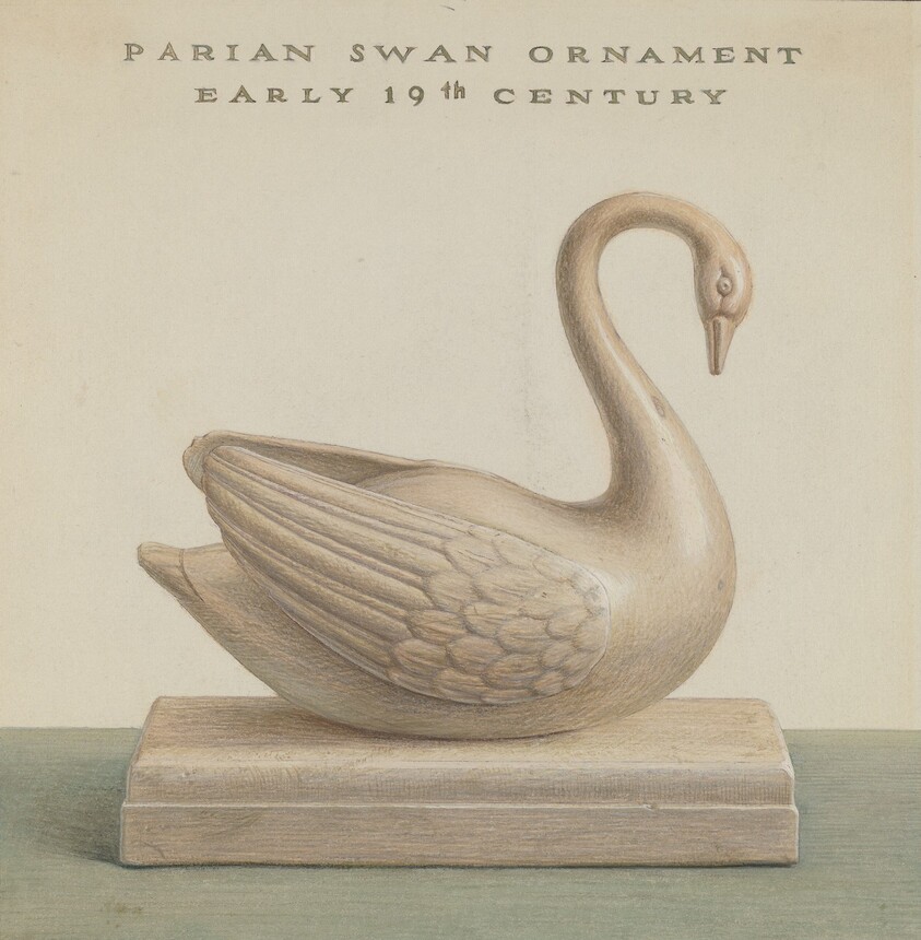 Swan