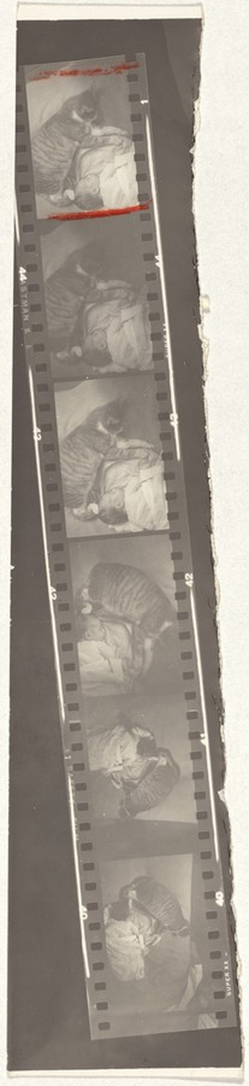 Family--New York City 10