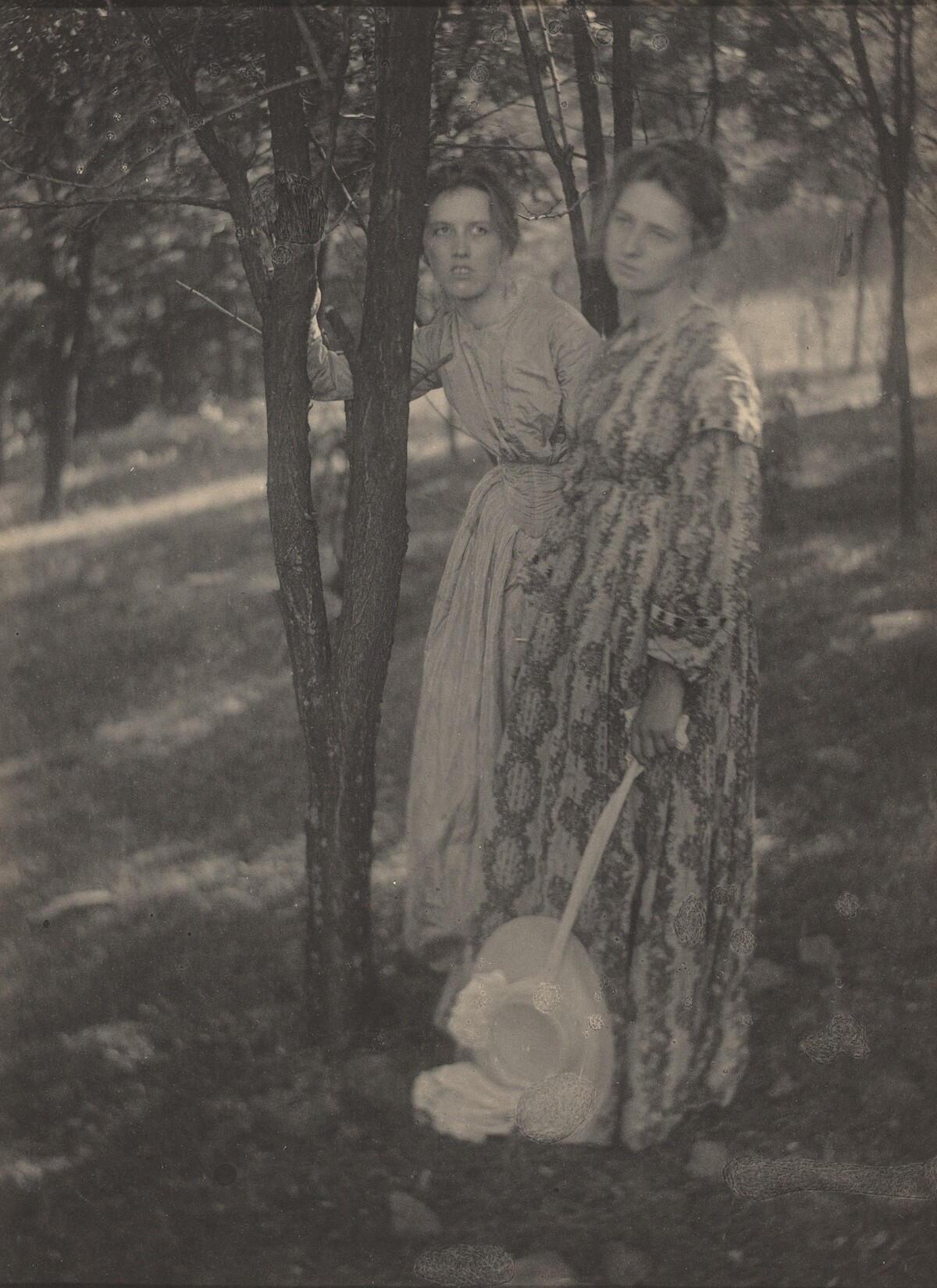 In the Woods