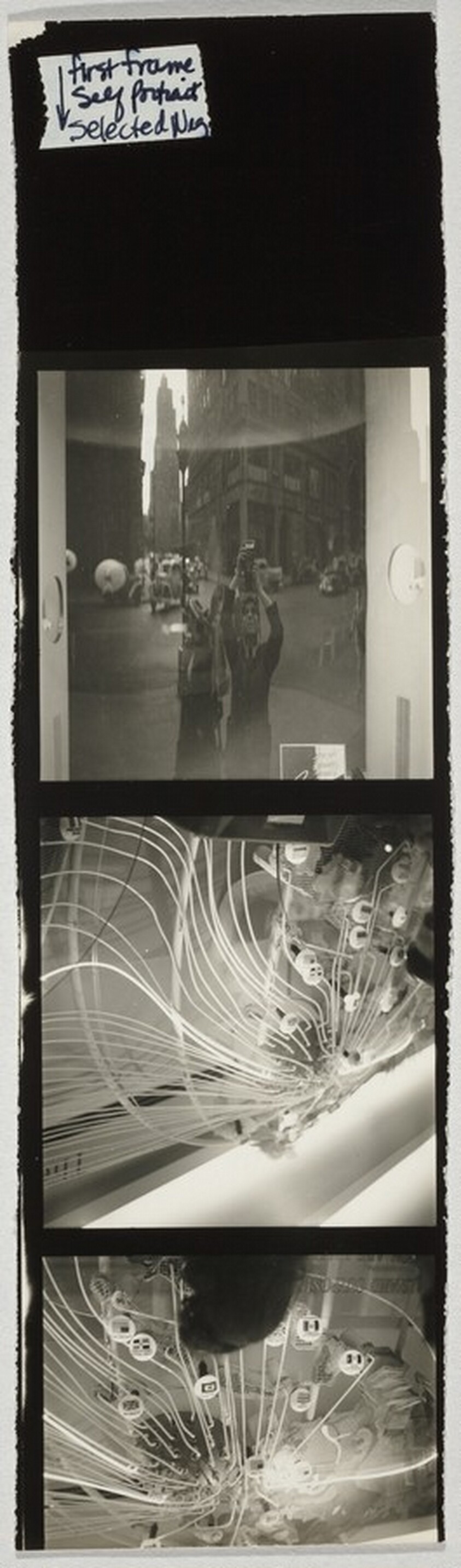 Self-portrait--New York City no number