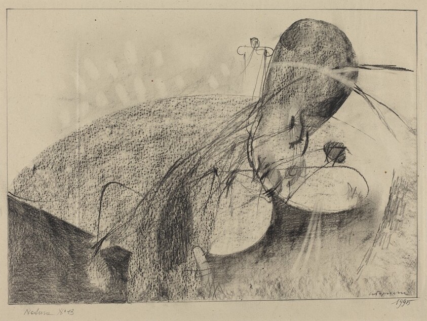 Natura No. 13 (Nature No. 13)