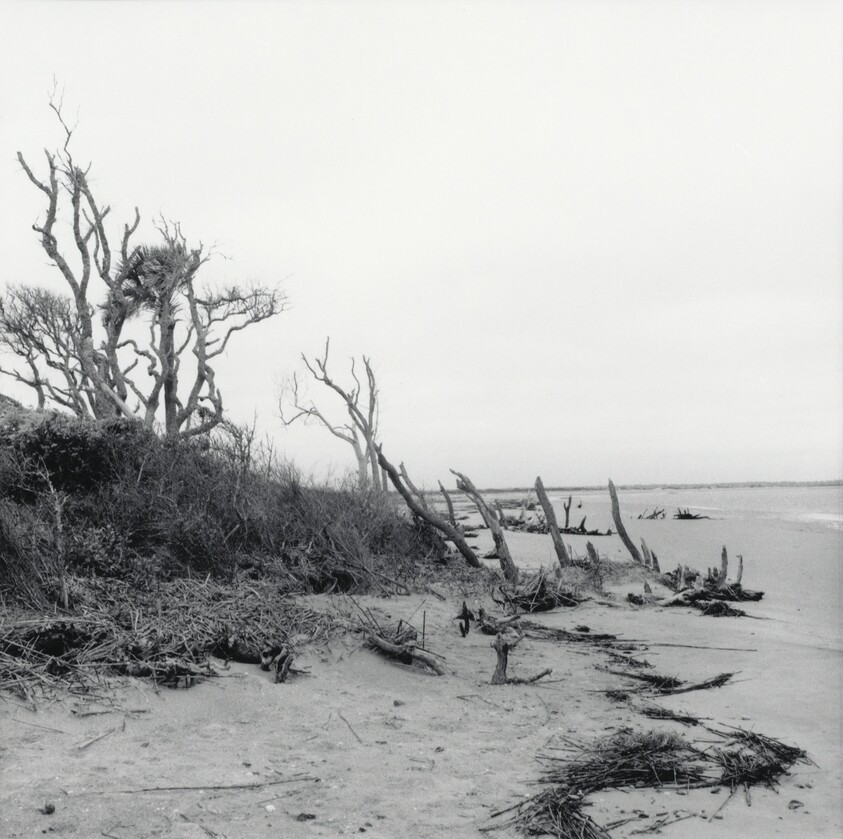 Folly Beach, South Carolina, 1999