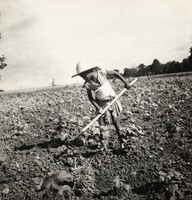 Child of Impoverished Black Tenant Family Working on Farm, Alabama, Dorothea Lange, July 1936