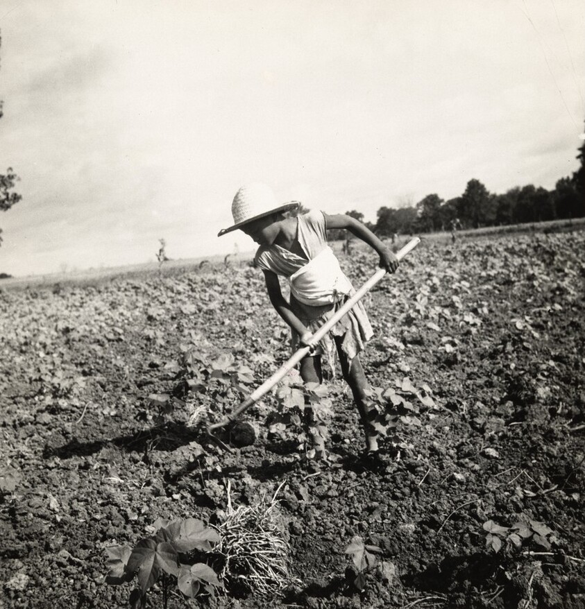 Child of Impoverished Black Tenant Family Working on Farm, Alabama