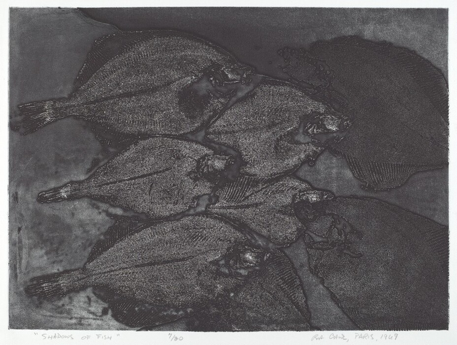 The image shows a collection of flat fish arranged in a textured manner, their bodies overlapping at various angles. The color palette consists of shades of gray and black, creating a monochrome effect that highlights the texture and outline of the fish. The fish are spread across the frame, with their tails pointing left and their bodies arranged from bottom left to top right, filling the entire visual space.