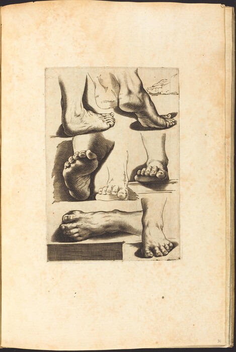 This is a drawing of various studies of feet. The illustration shows sketches of feet from different angles and postures. The feet are intricately detailed with defined contours and shading to depict musculature and structure. The image uses cross-hatching and line work for depth and form. Each foot study is shown in a confined space, possibly for comparison or anatomical study. The artwork appears on aged paper, adding to the classical and academic feel of the study.
