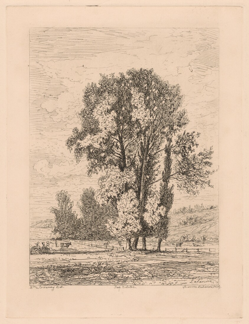 Landscape with Clump of Four Trees