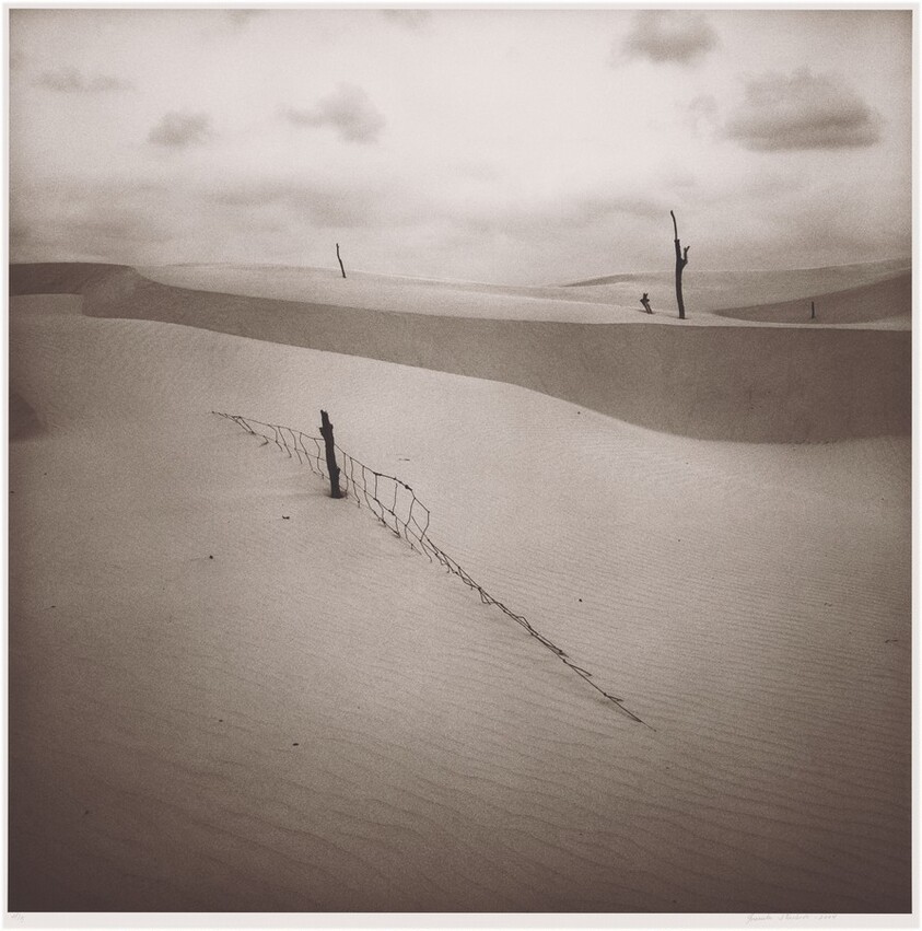 Rancho Santa Gertrudis, Sur de Texas (Santa Gertrudis Ranch, South Texas)