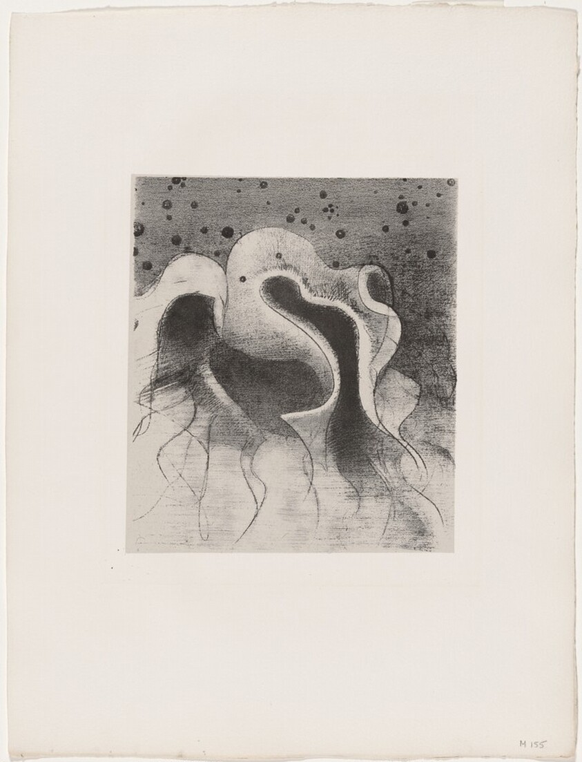 Les Bêtes De La Mer Rondes Comme Des Outres