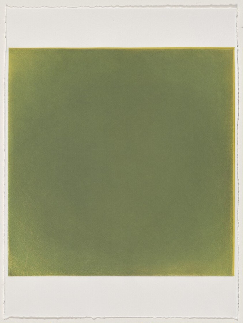 Sweet Pine [working proof 5B]