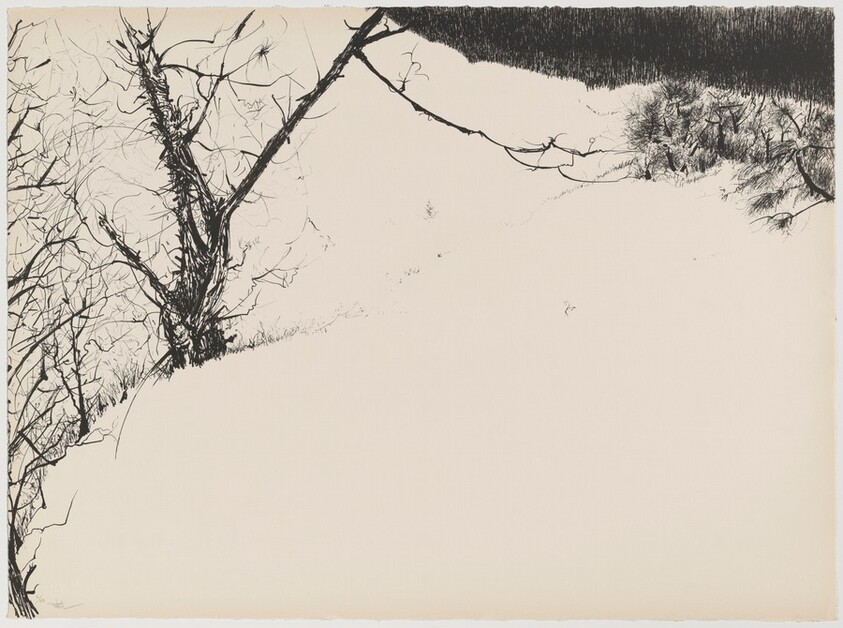 Snow Fields from Of Nature, Of Man