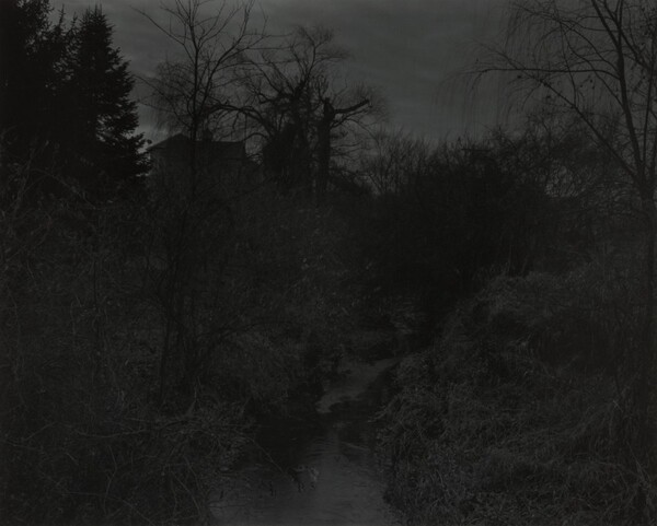 Untitled #18 (Creek and Trees)