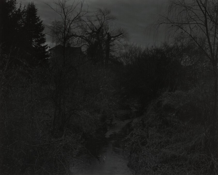 Untitled #18 (Creek and Trees)