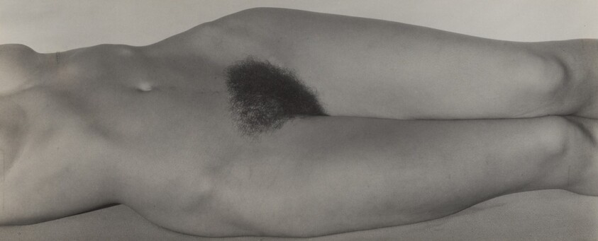 Georgia O'Keeffe—Torso