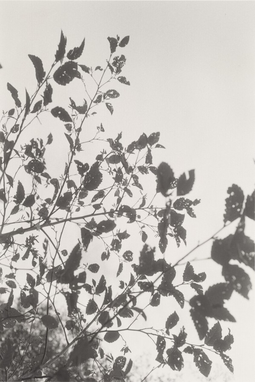 Neahkahnie Mountain, Oregon