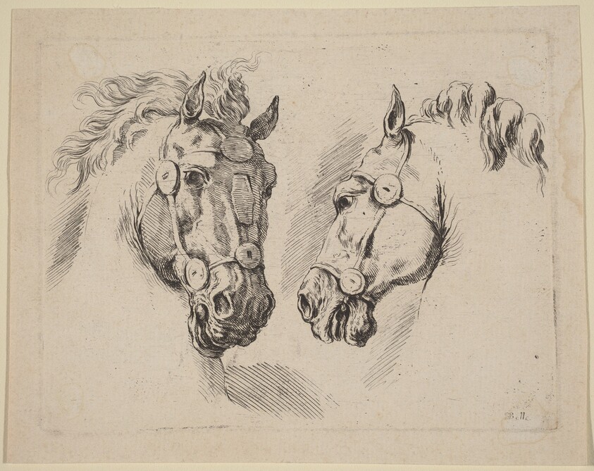 Two Horse Heads