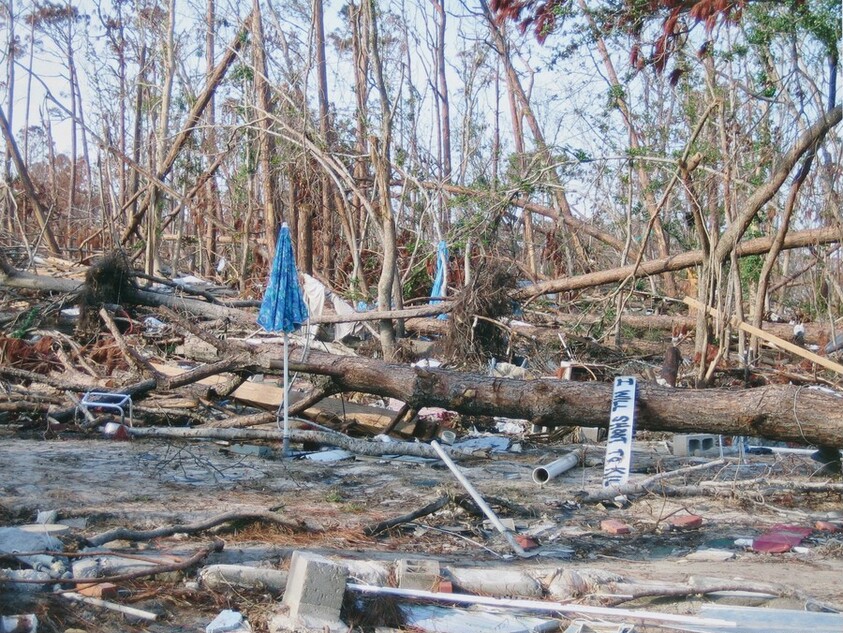 Untitled [New Orleans and the Gulf Coast, 2005]