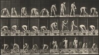Plate Number 506. Bricklaying, Eadweard Muybridge, 1887