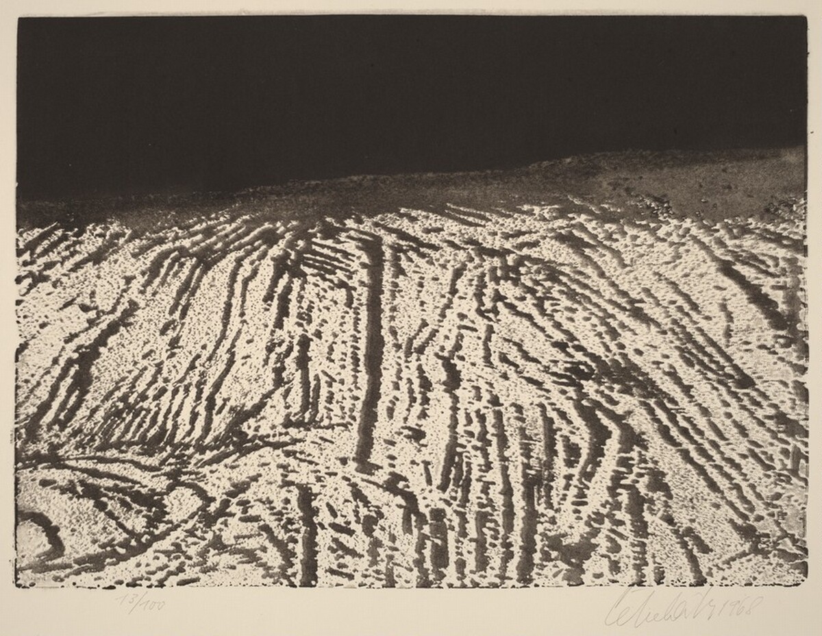 Snehové brazdy (Snow Furrows)