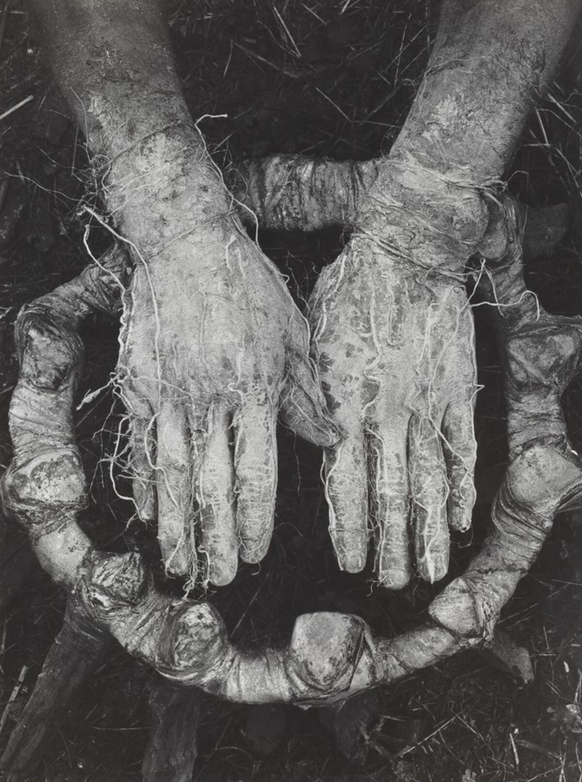 Erinnerungsspur--Statische Vibration (Memory's Trace--Static Vibration)