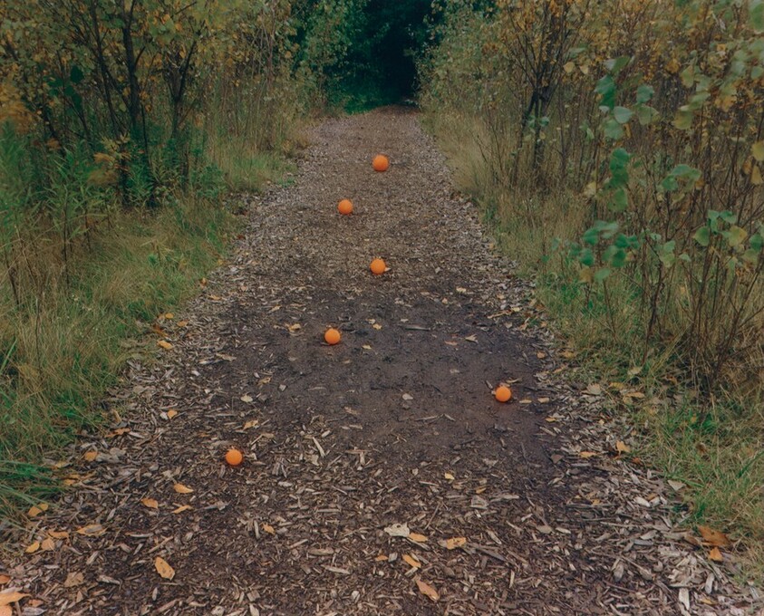 Six Oranges, Buffalo, New York