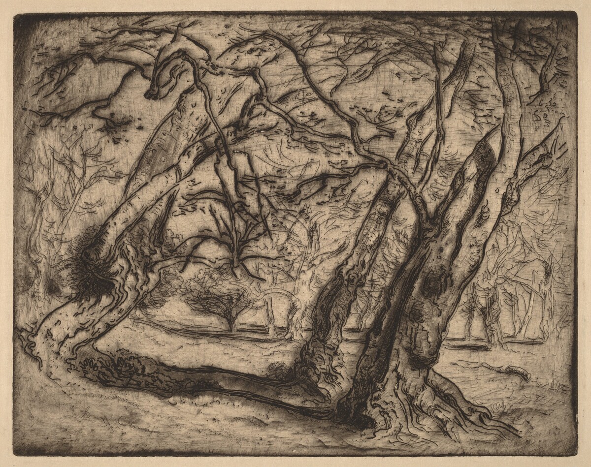 Untitled (Wooded Landscape)