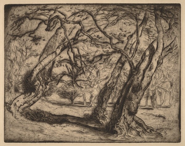 Untitled (Wooded Landscape)