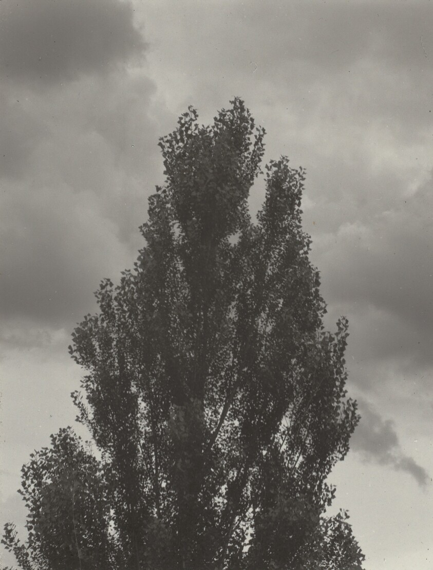 Portrait—K.N.R., No. 4 or Songs of the Sky C4