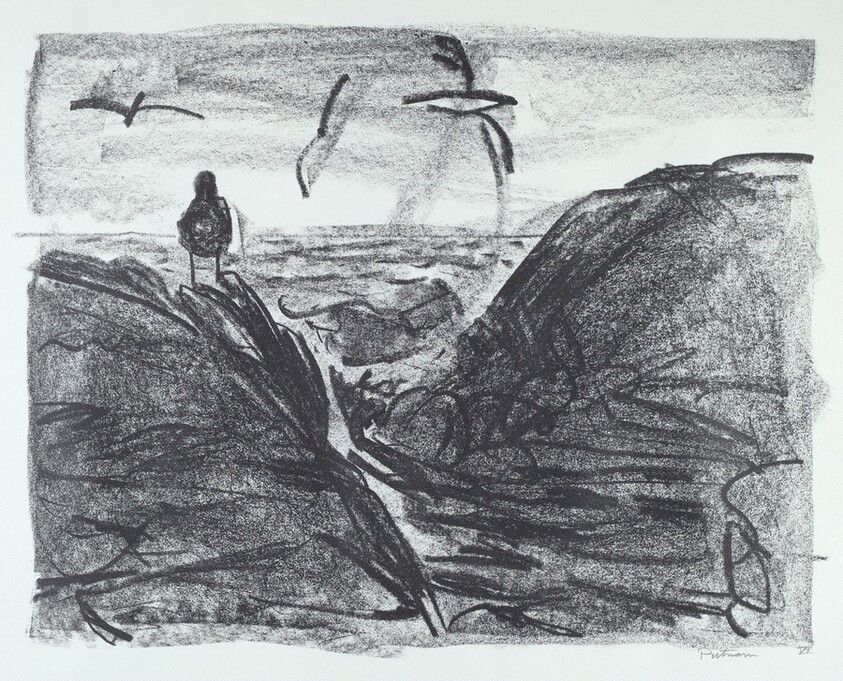 VI from Sea Bird Saga