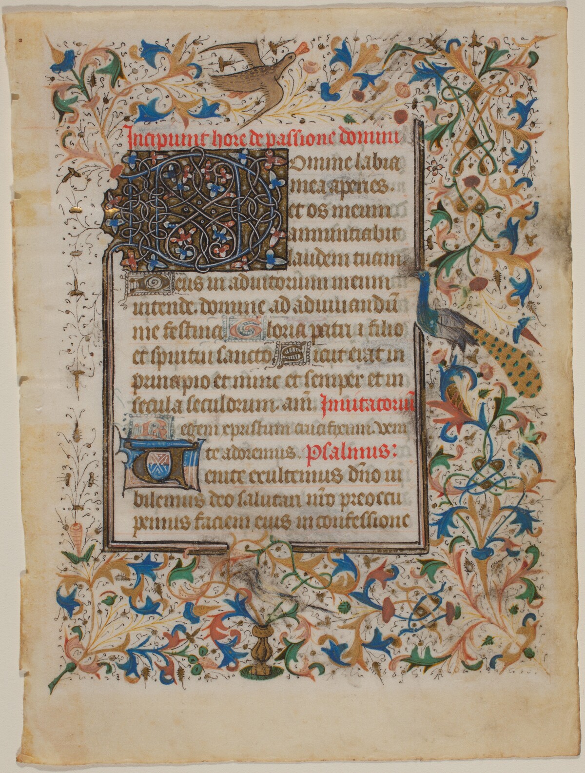 Manuscript Leaf from a Book of Hours (incip. Passionis)