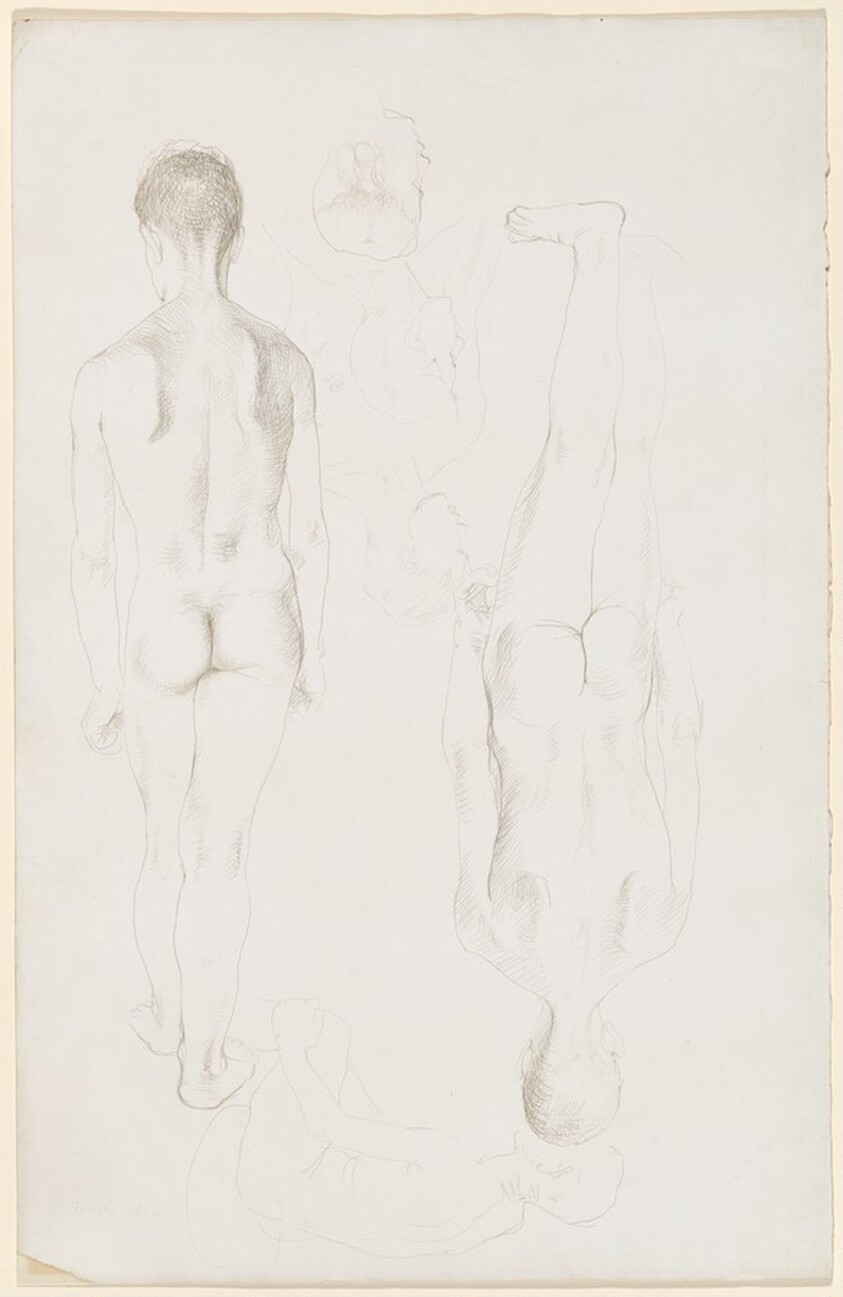Sheet of Studies of Standing Male Nudes, Seen from Behind